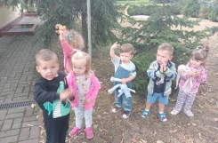 IMG20240909094032 